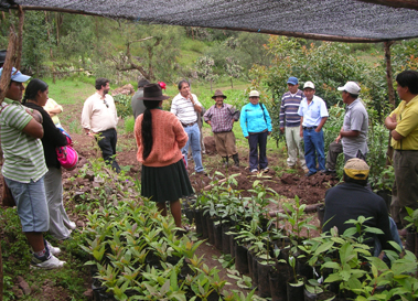 Imagen de intervenci�n en 2007 en Per�