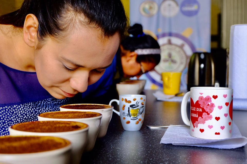 Escuela T�cnica en Caf� Cocrebistol-CESAL