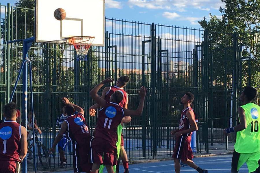 Canasta de la integraci�n