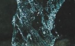 Jesus Alejandro Moron Guadarrama