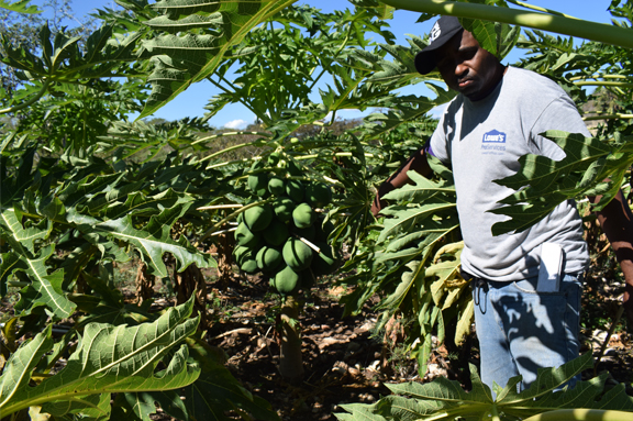 El agua como generador de medios de vida sostenibles