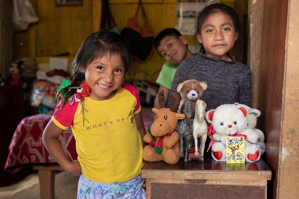 coronavirus. emergencia, CESAL, dona, alimentos, salud