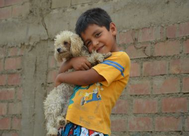 mejora de la calidad de la educaci�n primaria e infantil