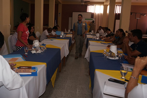 Grupo Focal para el Fortalecimiento y Desarrollo de la Cadena Ap�cola en la Regi�n de Occidente