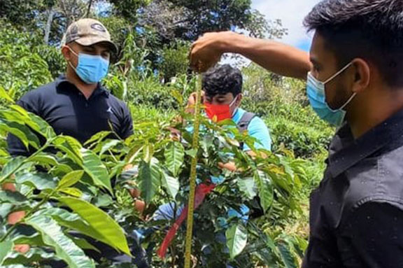 Escuela T�cnica en Caf� Cocrebistol-CESAL