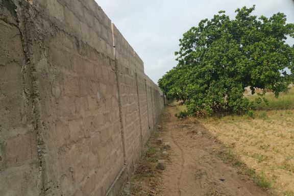 Muro perimetral Centro Dassa