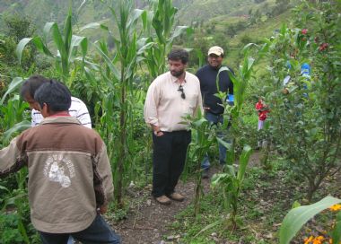 Impulso de la producci�n agropecuaria