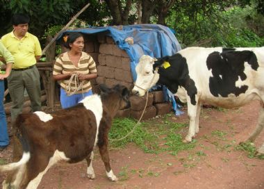 seguridad alimentaria