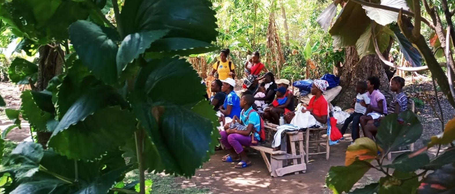 Programa de intervenci�n COVID19 en Hait�