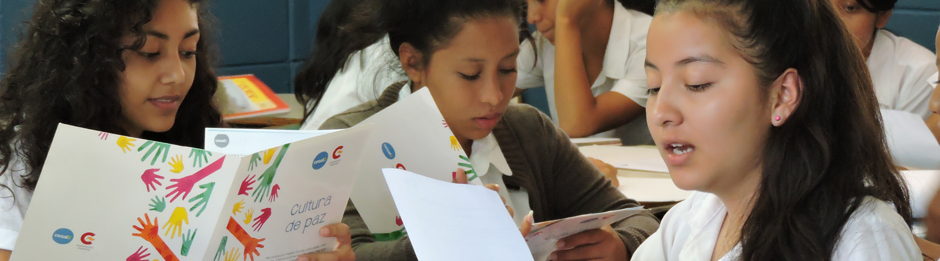 BANNER FINANCIADORES