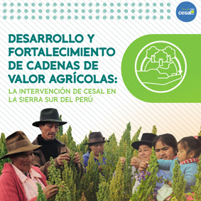 LIBRO Desarrollo y Fortalecimiento de Cadenas