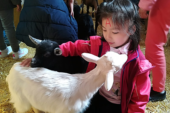 CEPI en la granja escuela