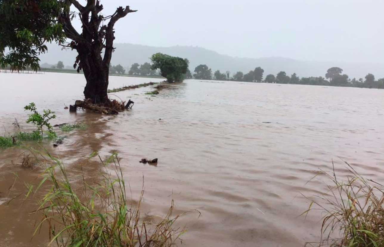 coronavirus emergencia tormentas amelia cristobal el salvador ayuda cesal