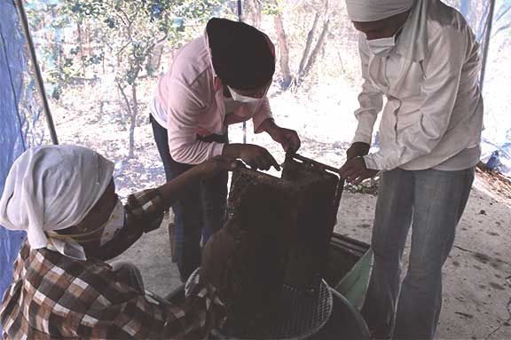 d�a del trabajo mujeres dona solidaridad cesal