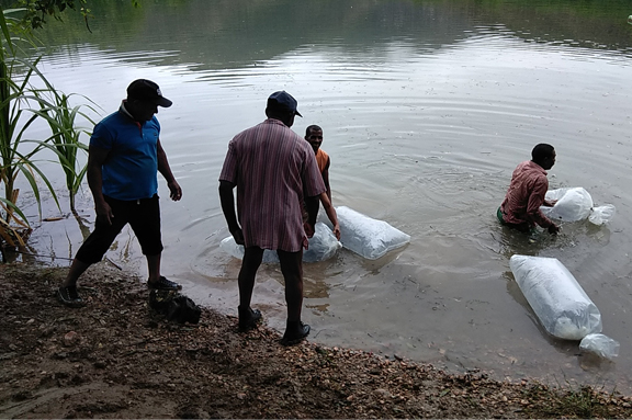 Alimentaci�n sana y nutritiva en Duverg�