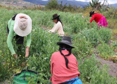 desarrollo econ�mico con poblaciones de dos mancomunidades de la cuenca media del r�o Pachachaca