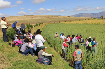 Estudio de Casos sobre Gobernanza Ambiental