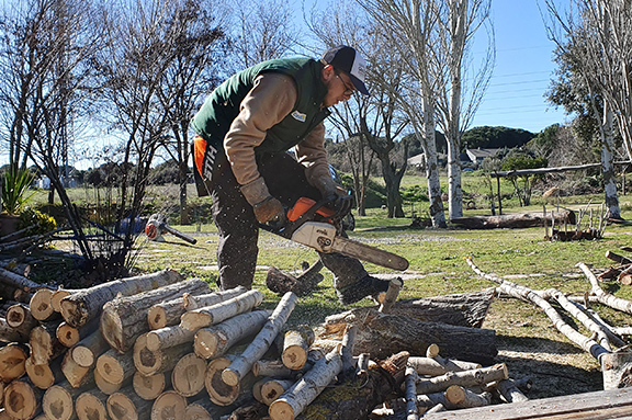 Nuevos cursos de formaci�n para j�venes de CESAL en Madrid