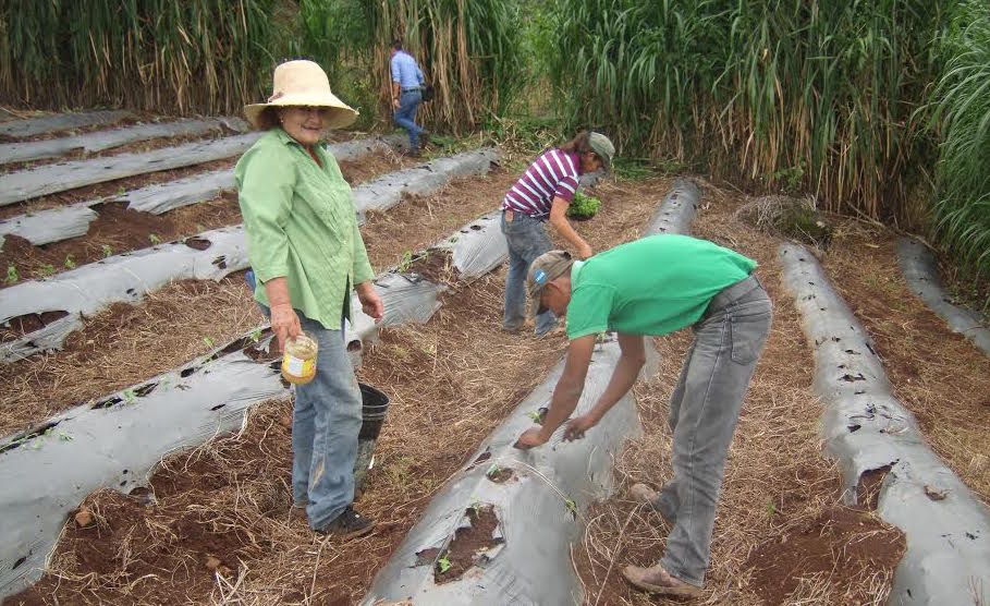 foto blanca rosa primera persona