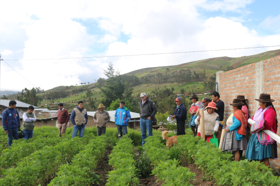 im�gen de nuestro trabajo