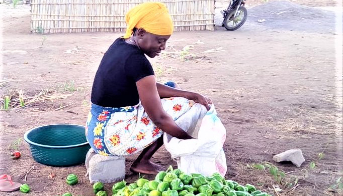 COSECHANDO AGUA EN MOZAMBIQUE