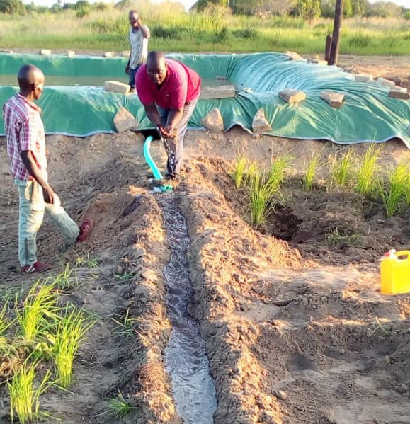 COSECHANDO AGUA EN MOZAMBIQUE