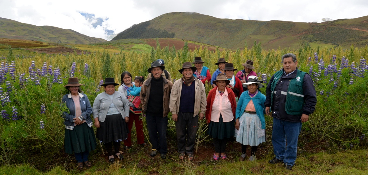 grupo de agricultores apurimac