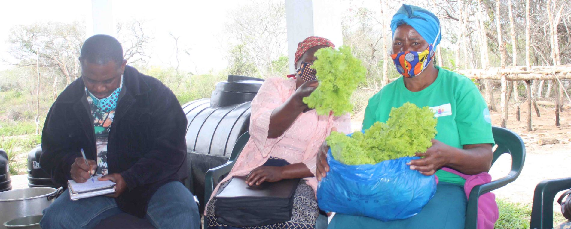 CESAL ACERCA A LOS PEQUE�OS AGRICULTORES DEL DISTRITO DE MATUTUINE A LOS MERCADOS DE LA CAPITAL, MAPUTO