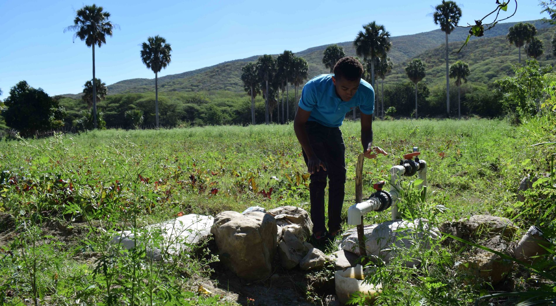 EL AGUA COMO GENERADOR DE MEDIOS DE VIDA SOSTENIBLES