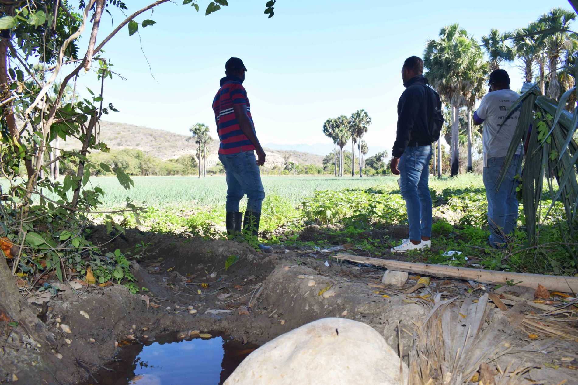 EL AGUA COMO GENERADOR DE MEDIOS DE VIDA SOSTENIBLES