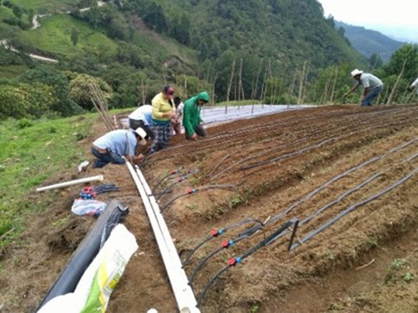 Escuelas de Campo_Honduras_2018