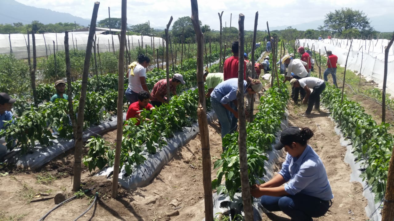 Graduaci�n de Escuelas de Campo_2018