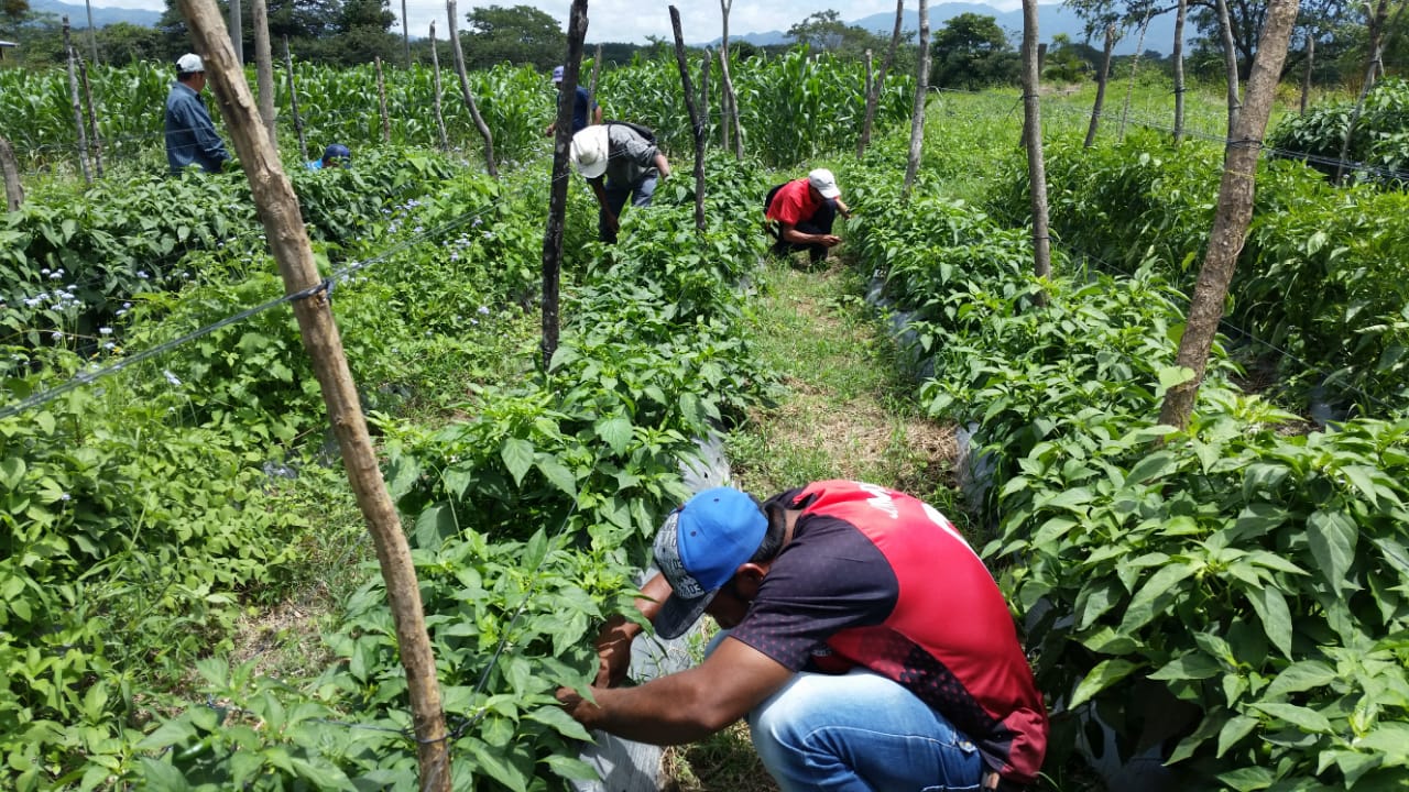 Graduaci�n de Escuelas de Campo_2018