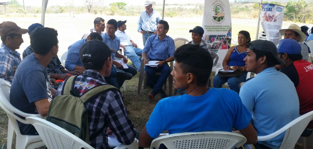 Fotograf�a de portada de la Escuela de Campo