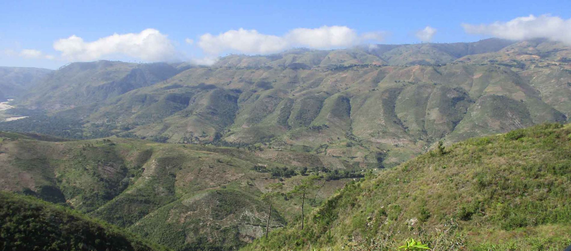 UNA RESPUESTA A LA GESTI�N Y CONSERVACI�N DE LA BIODIVERSIDAD EN HAIT�