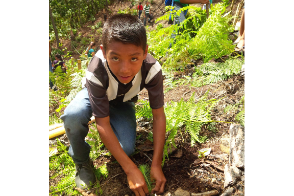 Ni�o beneficiario reforestando