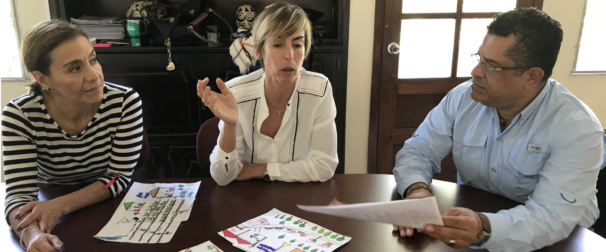 Jurado Calificador I Concurso de Dibujo Infantil