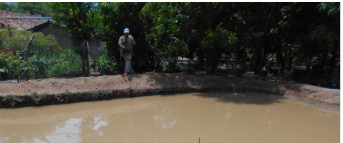 Almacenamiento de Agua
