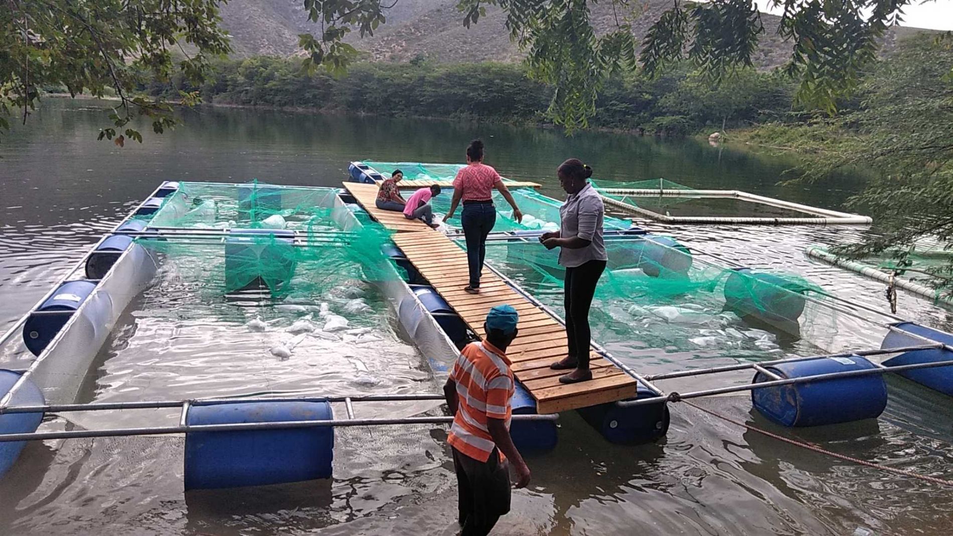 Biosfera transfronteriza Rep�blica Dominicana - Hait�