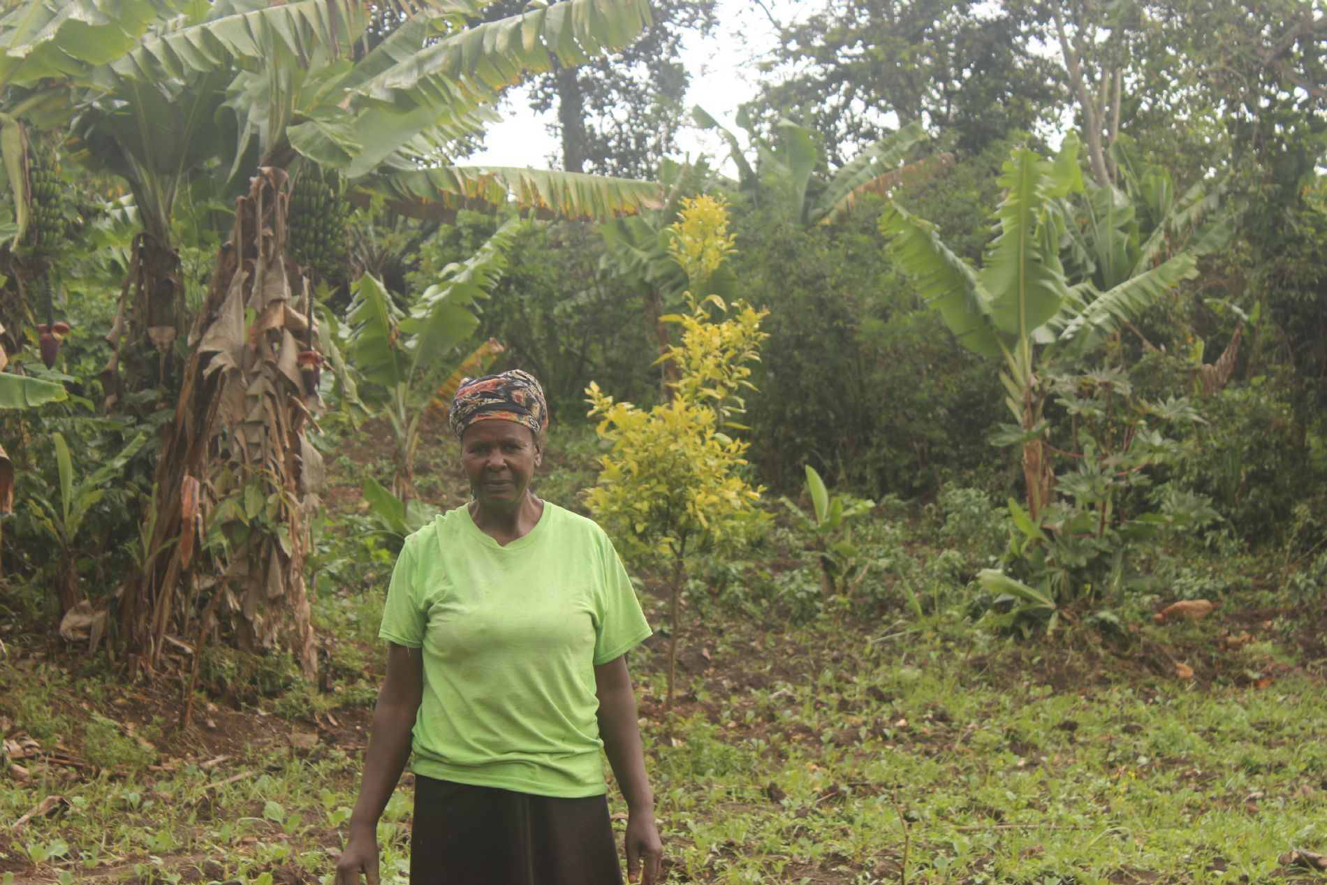 CESAL EN EL TERCER ENCUENTRO BINACIONAL DEL PROGRAMA HOMBRE Y BIOSFERA (MAB)