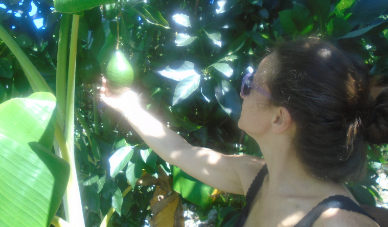 marta juste voluntaria atll