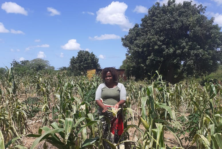 LA MUJER, PROTAGONISTA DEL DESARROLLO