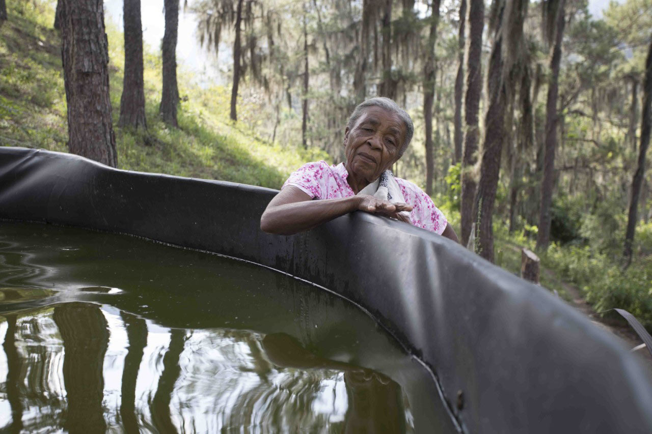 LA MUJER, PROTAGONISTA DEL DESARROLLO