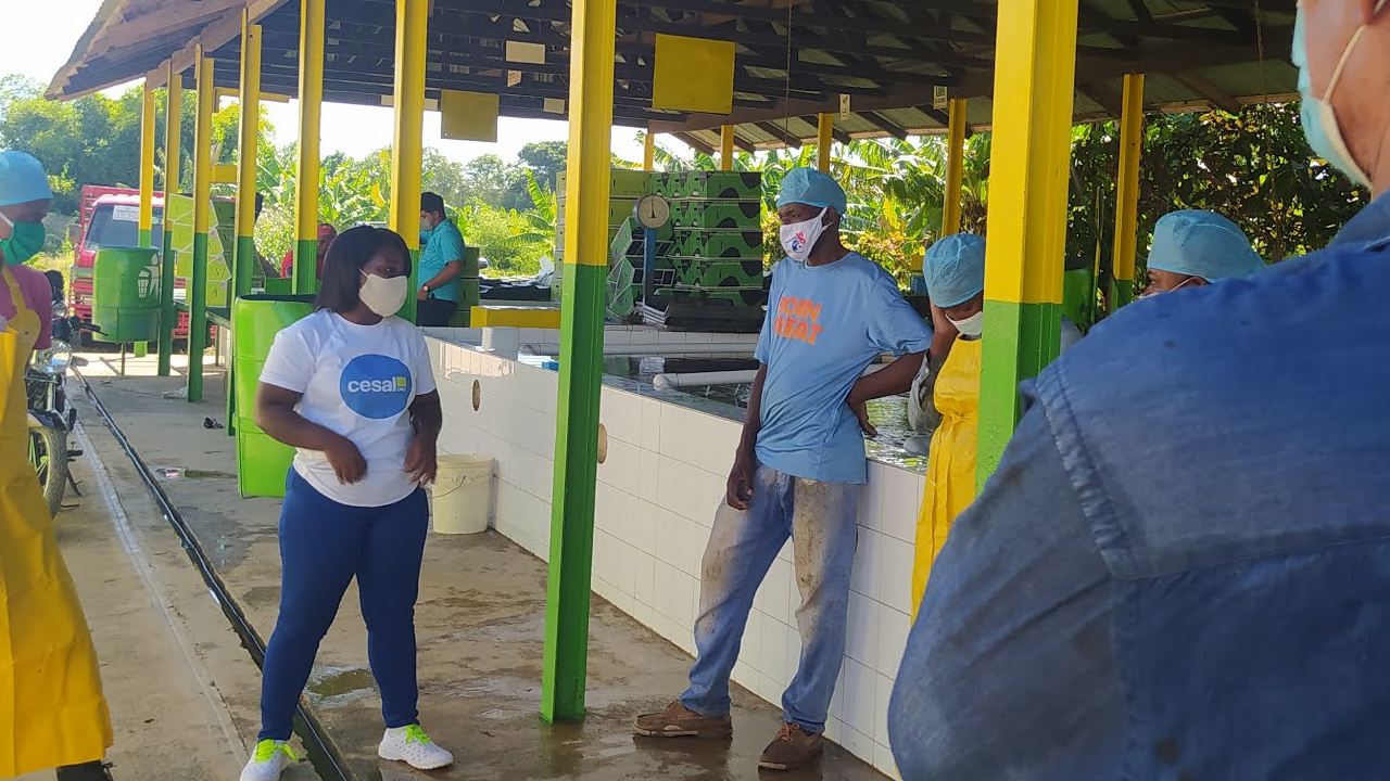 Derechos laborales poblaci�n migrante