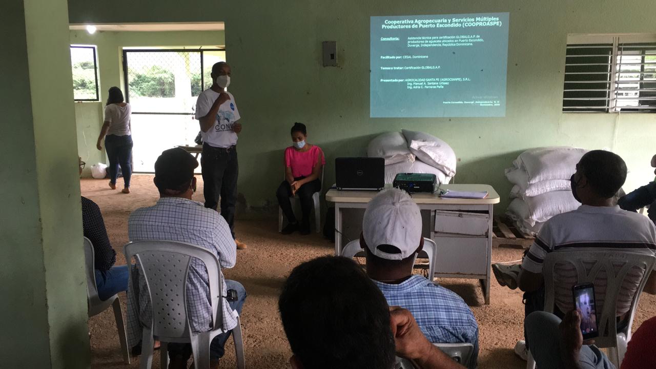 Productores durante capacitaci�n para certificaci�n