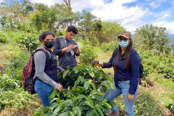 Escuela T�cnica en Caf� Cocrebistol-CESAL