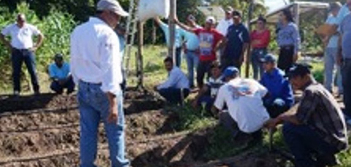 Se capacitaci�n a 13 Productores Asesores Voluntarios pertenecientes a las Escuelas de Campo establecidas por la Asociaci�n CESAL