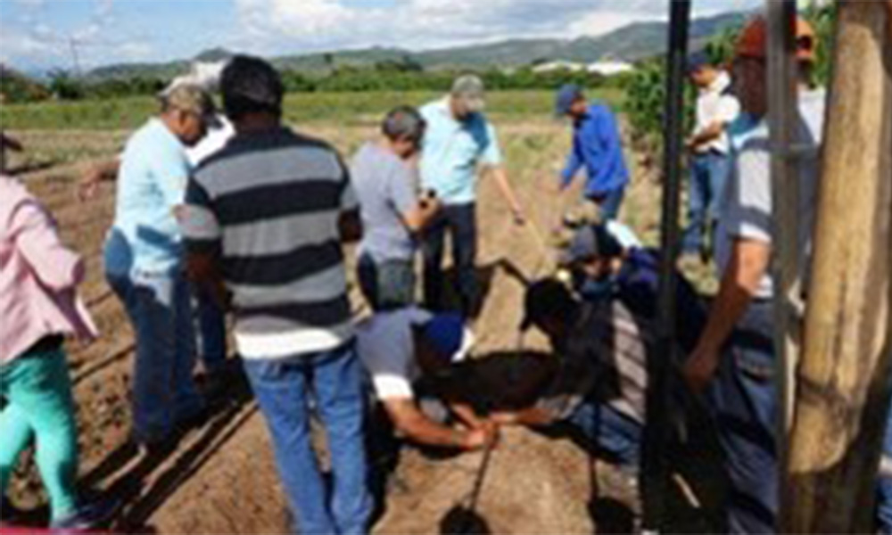 Se capacitaci�n a 13 Productores Asesores Voluntarios pertenecientes a las Escuelas de Campo establecidas por la Asociaci�n CESAL