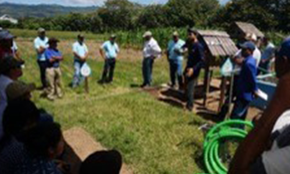 Se capacitaci�n a 13 Productores Asesores Voluntarios pertenecientes a las Escuelas de Campo establecidas por la Asociaci�n CESAL