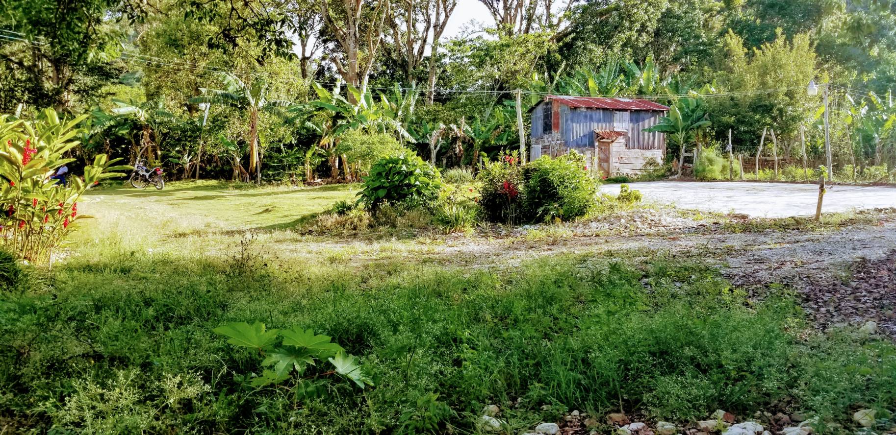 Secadero de caf� en Polo